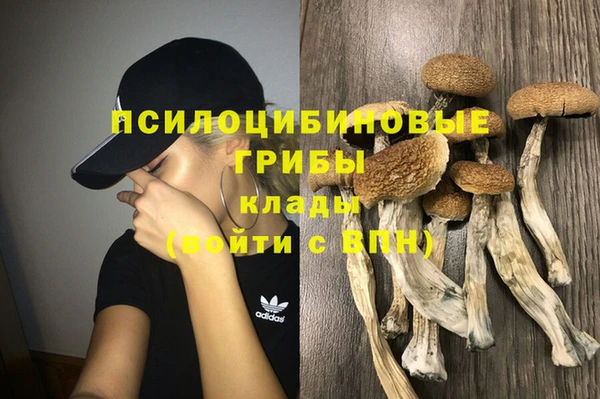 соль ск Балабаново