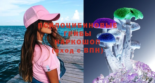 соль ск Балабаново