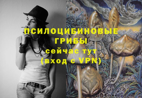 соль ск Балабаново