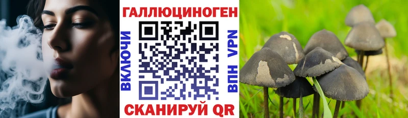 omg как зайти  Заречный  Галлюциногенные грибы Psilocybe 