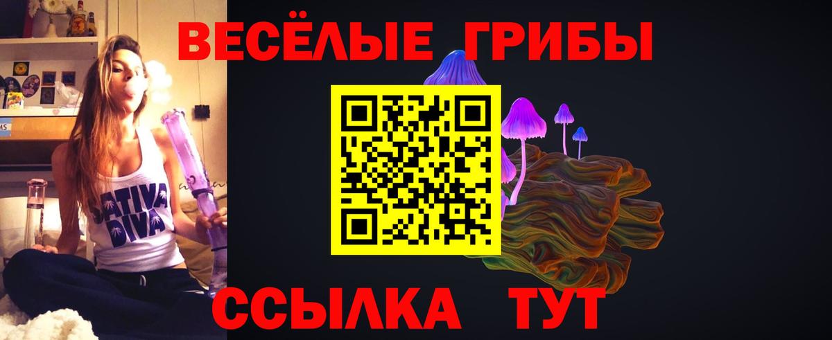 Псилоцибиновые грибы Magic Shrooms Заречный